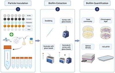 Culturing the Plastisphere: comparing methods to isolate culturable bacteria colonising microplastics